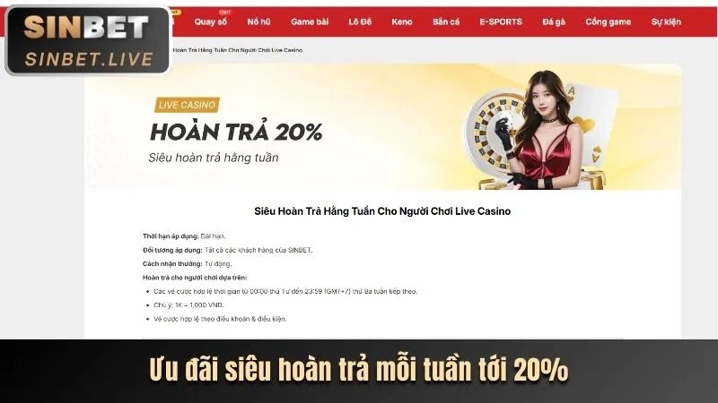 Hoàn trả tiền cược hàng tuần cho cá cược thể thao